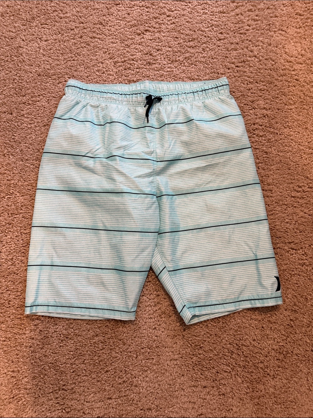 Light Blue Striped Men's Swim Shorts